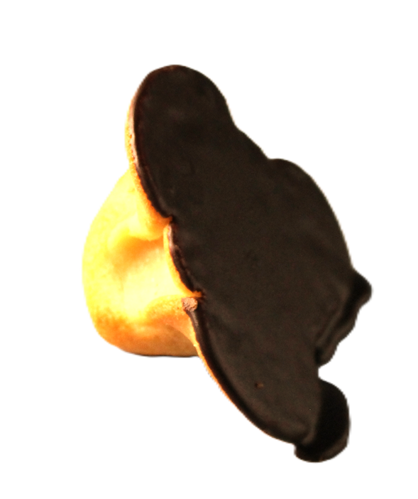 Napoelonshat